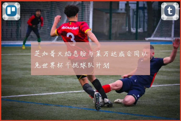 芝加哥火焰急盼与莱万达成合同以免世界杯干扰球队计划