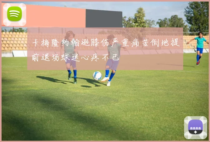 卡梅隆约翰逊膝伤严重痛苦倒地提前退场球迷心疼不已