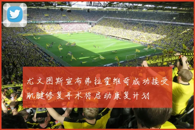 尤文图斯宣布弗拉霍维奇成功接受肌腱修复手术将启动康复计划