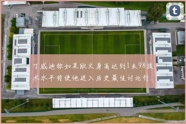 丁威迪称如果欧文身高达到1米98技术水平将使他进入历史最佳讨论行列