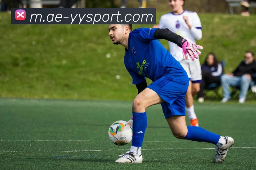 易游体育发展历程